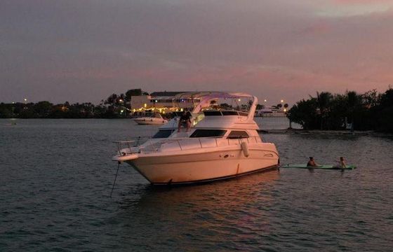 Elegant 51' Sea Ray FlyBridge | 13 Guests in Miami