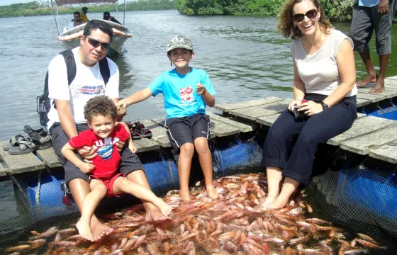 Bentota Boat Safari Tour