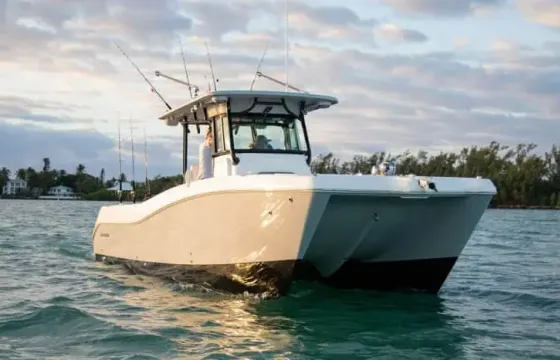 "Zen Dog" World Cat 325 cc Boat Rental in St. Petersburg, Florida