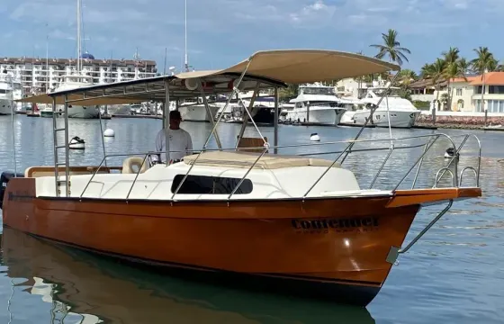 Lovely Power boat Albin 34 in Puerto Vallarta