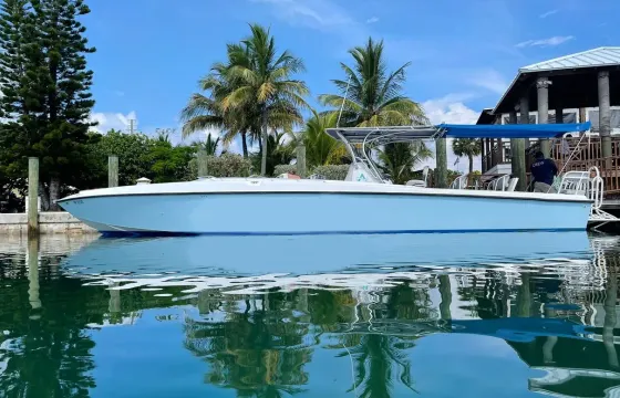 45ft Speedboat Cobalt Tour to swimming pigs and turtles in Eleuthera
