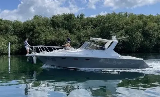 38ft Troyan Motor Yacht Charter in Cancún - Explore Isla Mujeres & More