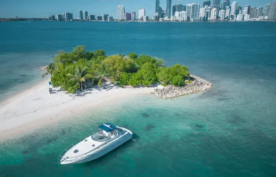 36ft Luxury Sea Ray - Bachelor and bachelorette Discount!