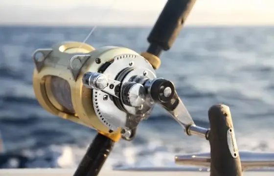 Enjoy 5-Hour Private Sport Fishing Charter Trip In Cabo San Lucas