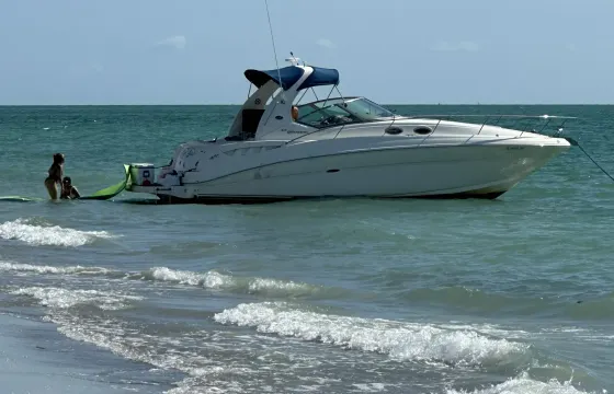 Sea Ray 320 in Downtown Tampa for up to 10 People