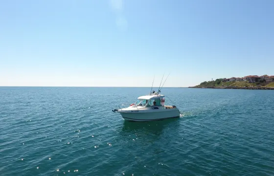 Vivaneau Fishing Team  4 hour  fishing trip around Burgas Bay