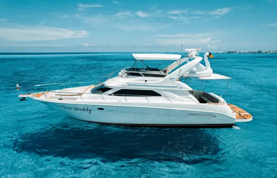Beautiful Sea Ray 50ft Flybridge Motor Yacht