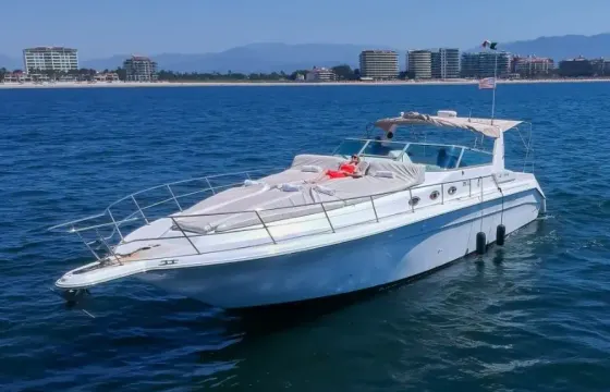 Sea Ray 46ft Charter in Puerto Vallarta, Jalisco