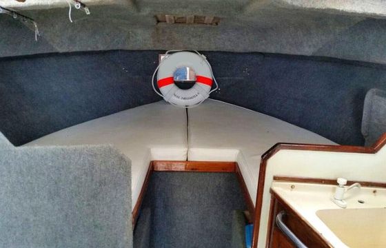 Nuevo Vallarta Fishing Sea Ray 34'