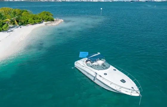 Best Price in Palm Beach. NO Fees! 34ft Yacht - 12 guests - half day.