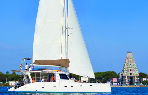 7 Hour Private Whale Watching Cruise in Mirissa, Sri Lanka (No bareboat charter)