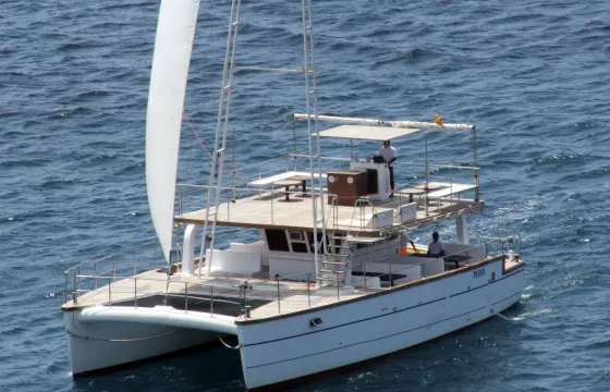 7 Hour Private Whale Watching Cruise in Mirissa, Sri Lanka (No bareboat charter)