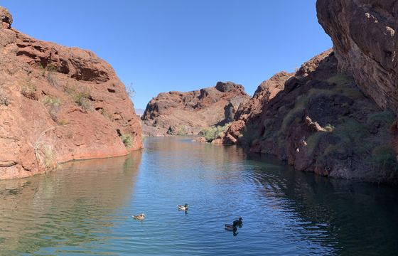 27' Coach Pontoon for rent in Lake Havasu City