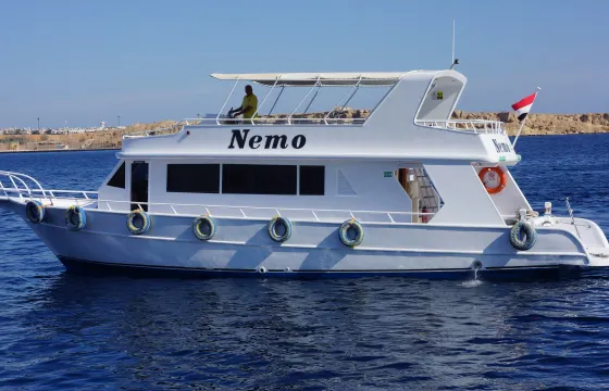 **Private Full-Day Sailing & Snorkeling Experience - Up to 9 Guests
