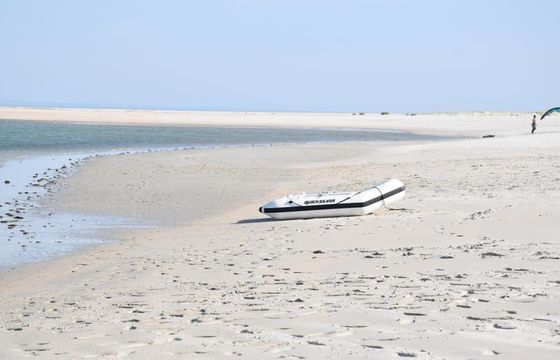 Amazing Chaparral 13 Person Powerboat for Rent in Setúbal