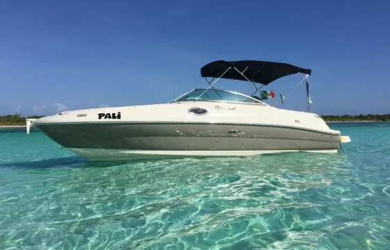 5-Star Sea Ray 24’ All Inclusive