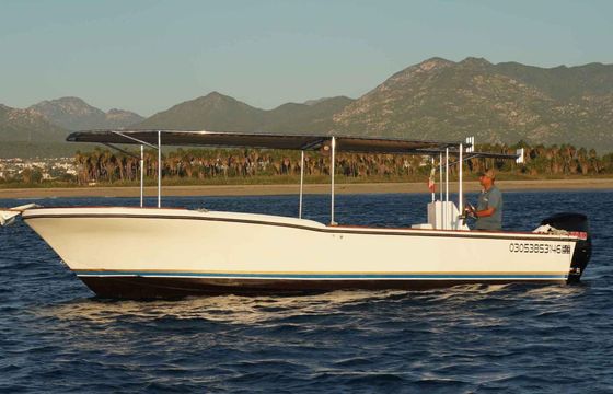 Whale Watching Group Tour out of San Jose del Cabo, Mexico