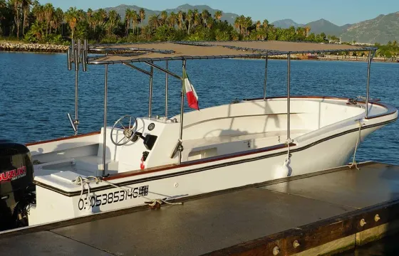 Whale Watching Group Tour out of San Jose del Cabo, Mexico