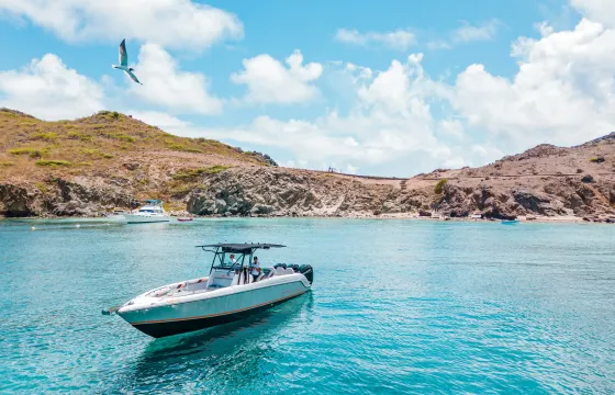 Full Day around Anguilla. Donzi 38
