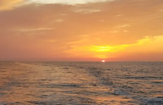 Cruise the San Diego Coastline with 29' Grady White for up to 6 people