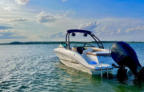 2017 Sea Ray SPX 210 Bowrider in Orlando, Florida