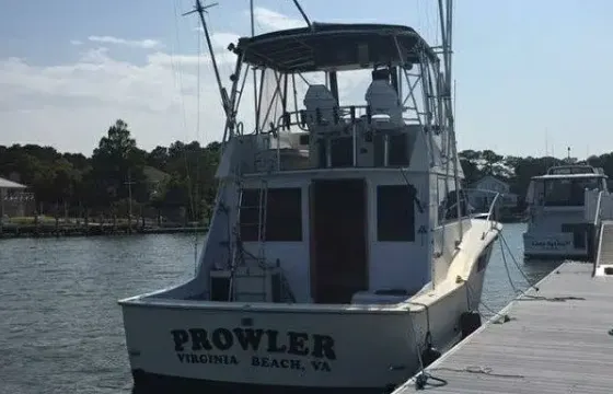 Inshore/Offshore Fishing Trip in Norfolk/VA Beach With Captain Lou