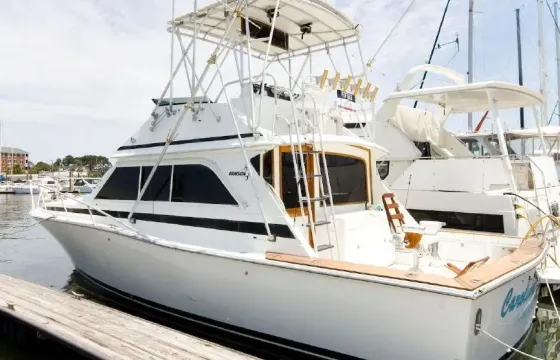 38' Dawson Sportfish Motor Yacht Charter in Norfolk, Virginia