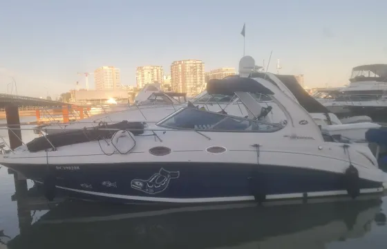 Boating Days in Beautiful Vancouver aboard 28' Sea Ray Yacht