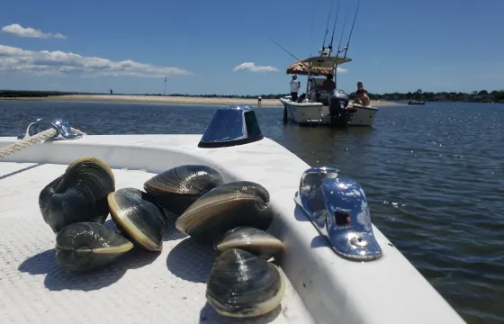 Providence Boat Tour