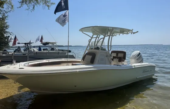 Harbor/Lake Shark tooth hunting, dolphin cruise, bachelorette/bachelor & more!