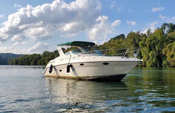 Beautiful 35ft Regal Cruiser with Swim pad