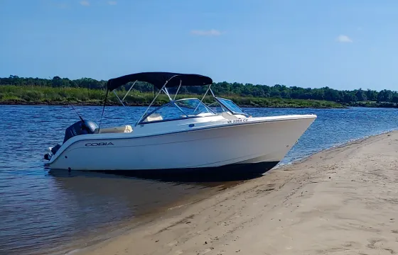 Ceviche Charters on the Ashley- Plantation River Cruise