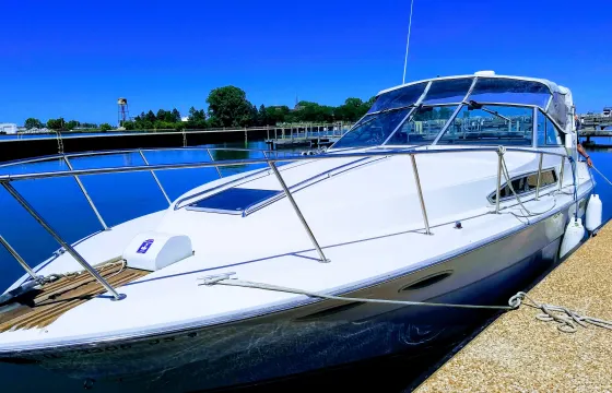 Captained Charter on 36' Sea Ray Cruiser in Chicago