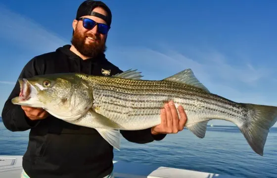 Striped Bass and Bluefin Tuna Fishing Charter in Truro, Massachusetts (26' Boat)