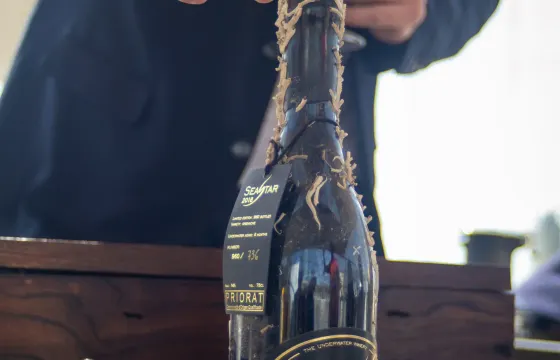 Sailing Tour and Tasting of Submarine wines on board in Barcelona
