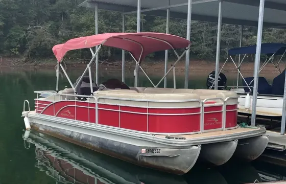 Tri-toon 250HP in Andersonville, TN Norris Lake