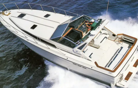 Luxury Sea Ray Cruiser Yacht with Courtesy Champagne Plus Photography
