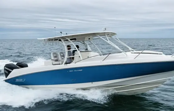 Explore the British Virgin Islands on  a Boston Whaler