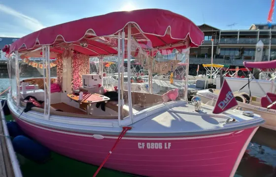 Pink party Boat cruise in San Diego Bay for up to 10 passengers