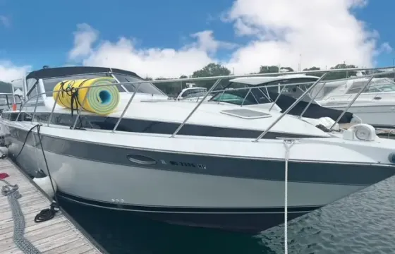 44ft Premium Chris Craft Yacht for Lake Michigan and Playpen Party Cruises!