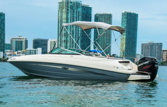 Boat Charters and Tours with Sea Ray 240 Sundeck Yacht in Fort Lauderdale