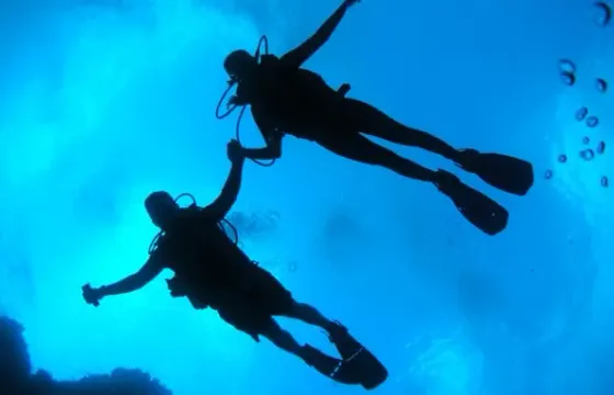 Sunken Plane Dive and Other Dives in Kusadasi