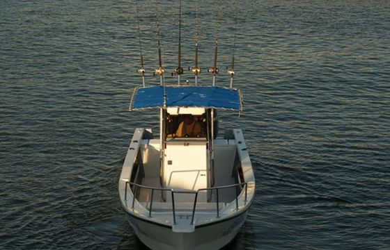 28' Center Console Charter in Nuevo Corral del Risco, Mexico