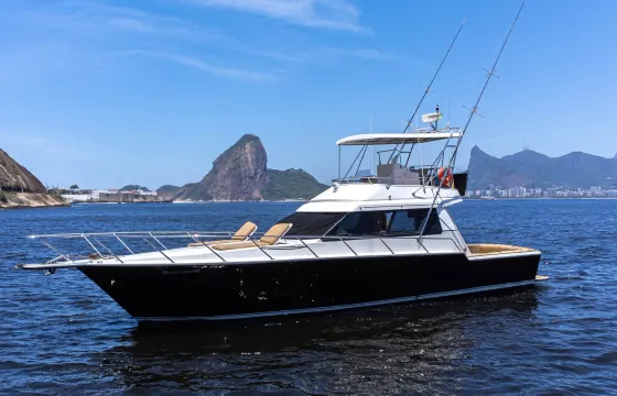 Astove 50ft up to 20 passengers in Rio de Janeiro
