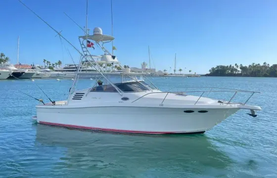 35' Sea Ray boat for rent in La Romana