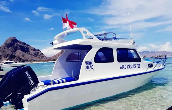 Full Day Trip by Speed Boat in the Komodo National Park