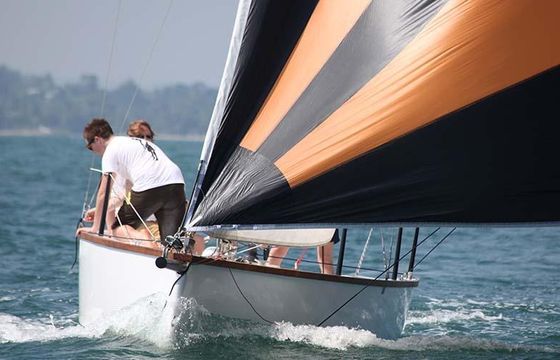 'Mini Bee 6.5' rental in Colombo, Sri Lanka (No bareboat charter)
