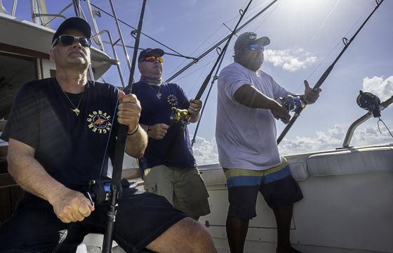 38ft Bertram for best fishing from Puerto Aventuras, Riviera Maya