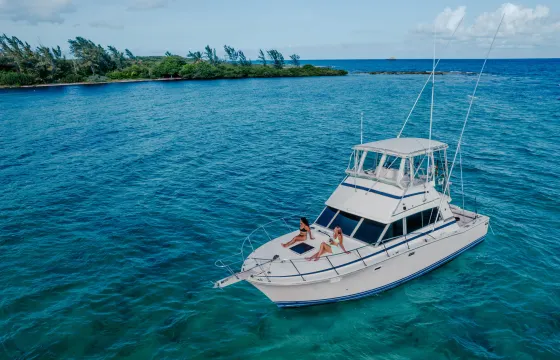 38ft Bertram for best fishing from Puerto Aventuras, Riviera Maya