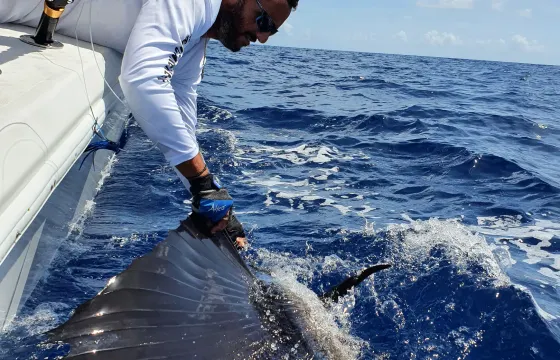 Private Charter for Sportfishing , snorkeling,  swimming pigs & turtles.